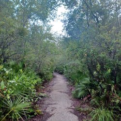 Black Hammock Wilderness Area and Trail