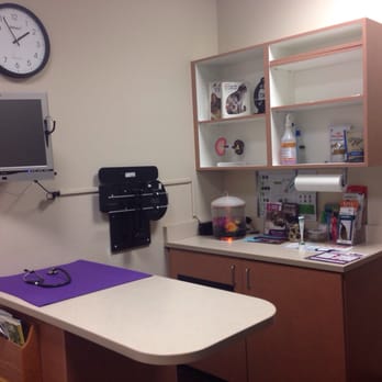 The Center for Animal Wellness - Cat room - Veterinarians Near Me - Denver, Colorado The Center for Animal Wellness - Cat room - Veterinarians Near Me - Denver, Colorado