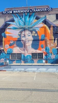 Tucson Bike Tours by null