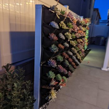 Echo Family Landscaping - Landscaping Near Me Echo Family Landscaping - Landscaping Near Me