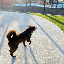 Pavo Real Spray Park
