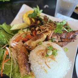 Combination Rice Plate
