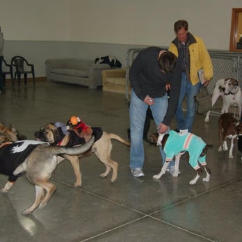 Hound Huddle - They even have Halloween parties and Christmas picture with Santa! - Pet Training Near Me - Oregon, Wisconsin