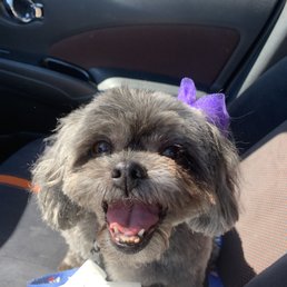 Sophie