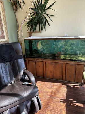 Electrical Muscle Stimulation