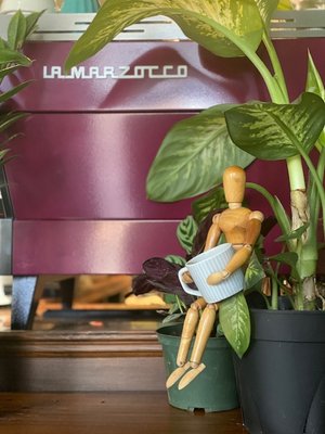 Undergrowth Coffee by null