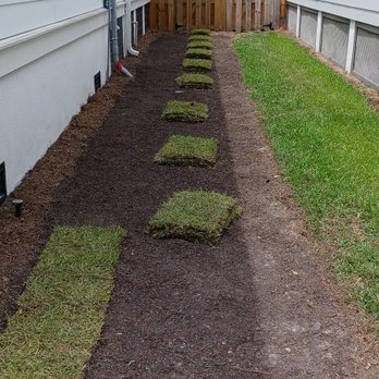 Cesar Lawn Care - Sod installation - Lawn Services Near Me Cesar Lawn Care - Sod installation - Lawn Services Near Me