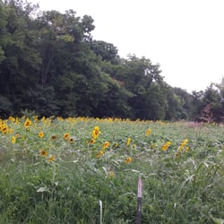 Williamson Farmers Co-Op - Wildlife Habitat
