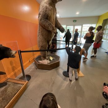 Lindsay Wildlife Experience - Museums Near Me - Walnut Creek, California Lindsay Wildlife Experience - Museums Near Me - Walnut Creek, California