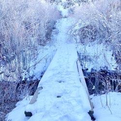 Cave Lake State Park