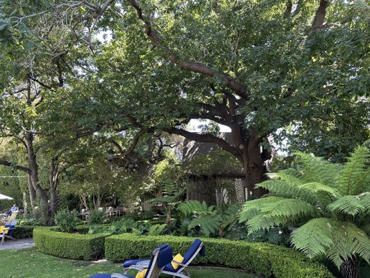 Simpson House Inn by null