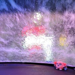 All Washed Up Auto Spa