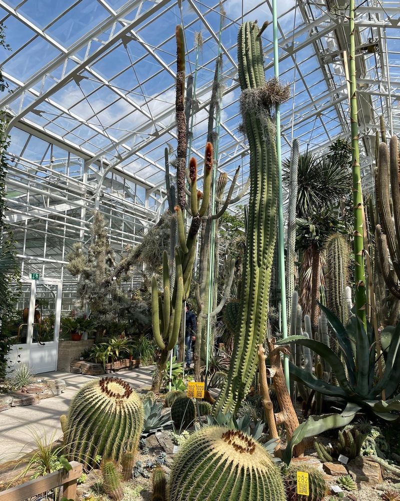 Alter Botanischer Garten