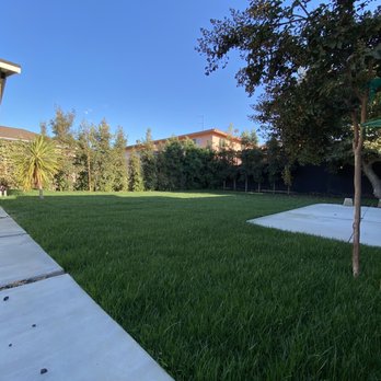 EC Irrigation Repair - Backyard after - Irrigation Near Me