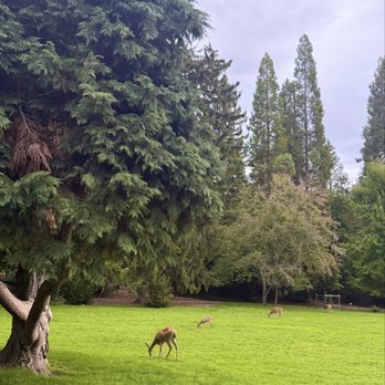 Lithia Park - Parks Near Me - Ashland, Oregon Lithia Park - Parks Near Me - Ashland, Oregon