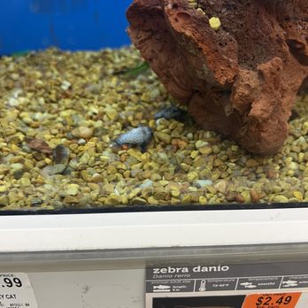 Petco - Pet Groomers Near Me - Revere, Massachusetts
