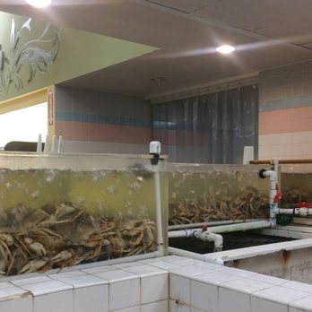 99 Ranch Market - Seafood Markets Near Me - Van Nuys, California 99 Ranch Market - Seafood Markets Near Me - Van Nuys, California