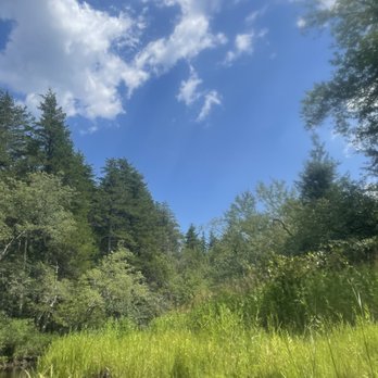 Pinelands Adventures - Views - Rafting/Kayaking Near Me - Shamong, New Jersey Pinelands Adventures - Views - Rafting/Kayaking Near Me - Shamong, New Jersey