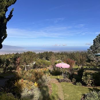 Ali'i Kula Lavender - View - Tours Near Me - Kula, Hawaii