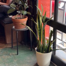 Indoor