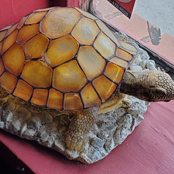 Snappy's Cafe - Turtle decor - Coffee & Tea Near Me - Hayward, California
