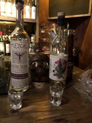 MEZCALOGIA by null