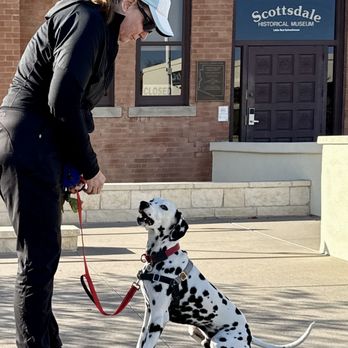Sonoran Dog Care - Pet Training Near Me Sonoran Dog Care - Pet Training Near Me