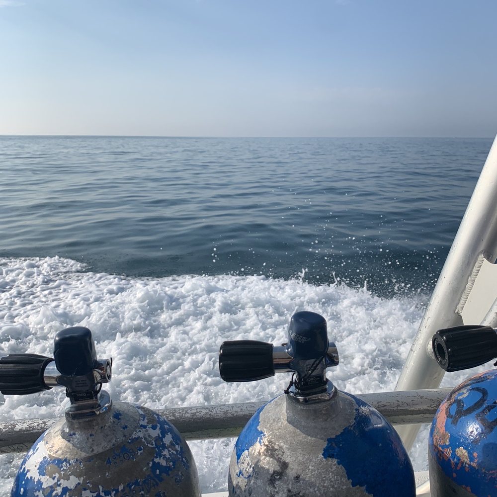 2 Shea Charters - Gulf of Mexico - Fishing Near Me - Clearwater, Florida