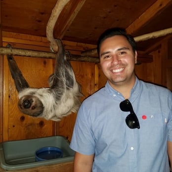 Wildlife Learning Center - Lola the sloth was extra active - Zoos Near Me - Sylmar, California Wildlife Learning Center - Lola the sloth was extra active - Zoos Near Me - Sylmar, California