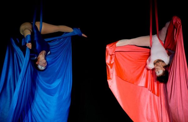 BIRDS EYE VIEW CIRCUS - Updated December 2024 - 2413 Collingwood Blvd