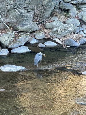 Historic Rocky Waters Inn, A Small Luxury Hotel by null