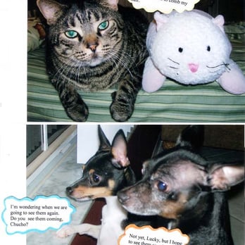 Pet Sitters and More - some of our customers and pals - Dog Walkers Near Me Pet Sitters and More - some of our customers and pals - Dog Walkers Near Me