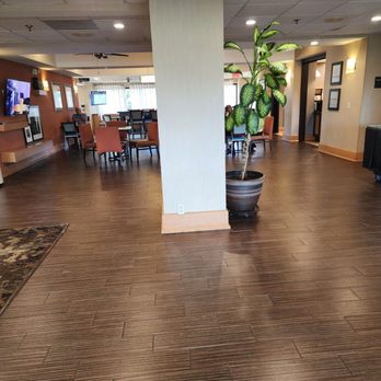 Hampton Inn Memphis/Collierville - The fabulous lobby, where Aimee who is the front desk will make sure, your stay is above excellence! - Hotels Near Me - Collierville, Tennessee Hampton Inn Memphis/Collierville - The fabulous lobby, where Aimee who is the front desk will make sure, your stay is above excellence! - Hotels Near Me - Collierville, Tennessee