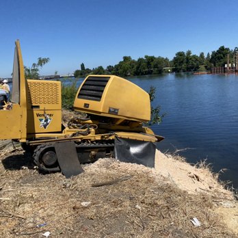 Good Stump Removal - Tree Services Near Me - Napa, California Good Stump Removal - Tree Services Near Me - Napa, California