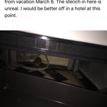 Bel Air Oaks - This rat lived under my stove and inside my refrigerator. I was later charged for the cost of an entire refrigerator for the "smell." - Apartments Near Me - Plano, Texas Bel Air Oaks - This rat lived under my stove and inside my refrigerator. I was later charged for the cost of an entire refrigerator for the "smell." - Apartments Near Me - Plano, Texas