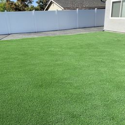 Dog run and turf