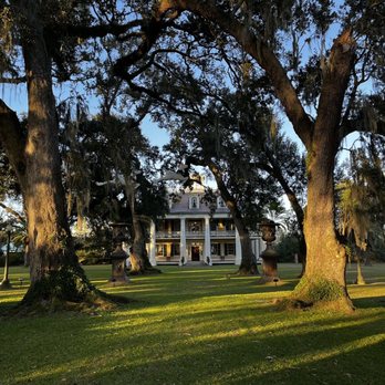 Houmas House and Gardens - Old oaks - Venues & Event Spaces Near Me - Darrow, Louisiana