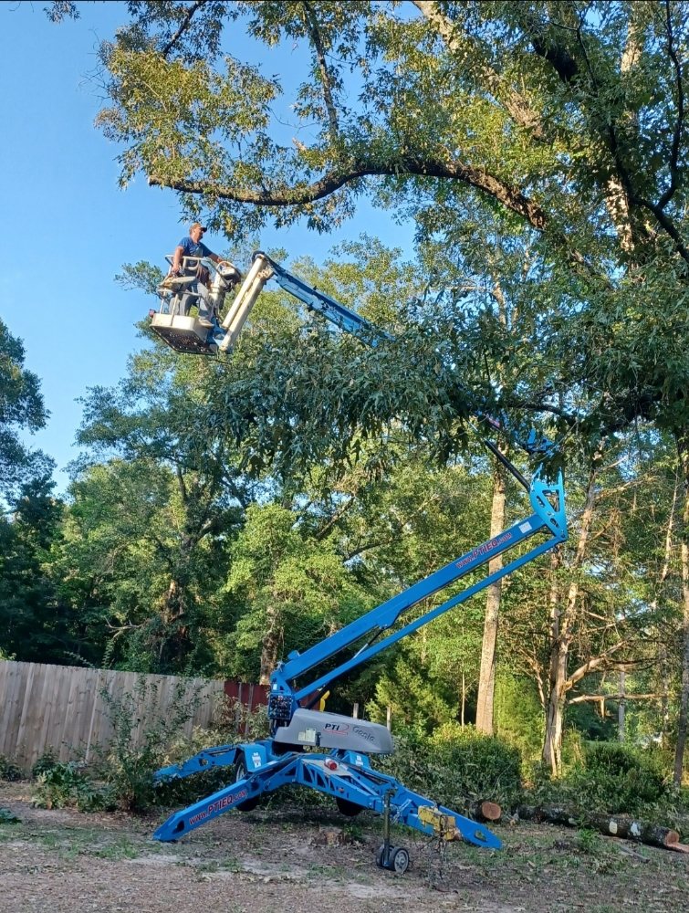 Slide of Hazelton's Clearing Service