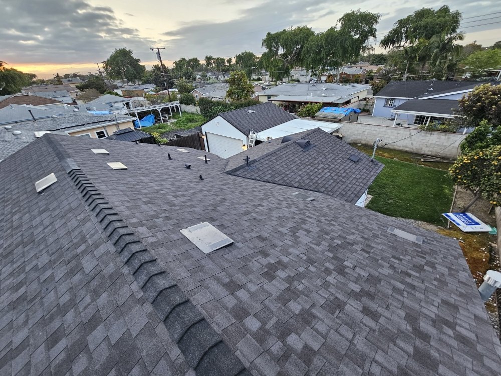 Slide of Immaculate Services