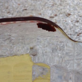 Cantina Captiva - Something on my pitcher..... Nasty - Mexican Near Me - Captiva, Florida