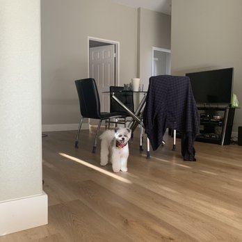 Jasmine Pet Grooming - Second time, and look how happy she is!! - Pet Groomers Near Me - Brea, California