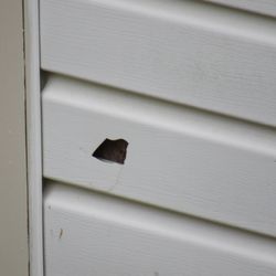 Raintree Community Association - A hole, otherwise known as the RAINTREE COMMUNITY ASSOCIATION.