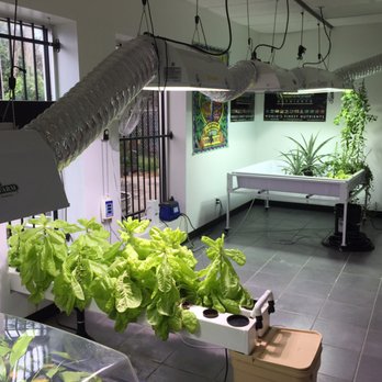 Hydroshack Hydroponics - Hydroshack Hydroponics - Inside - Hydroponics Near Me - Houston, Texas