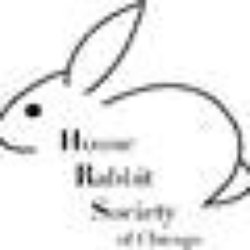 House Rabbit Society Of Chicago