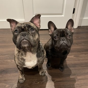 Arch Creek Animal Clinic 23 Photos 35 Reviews Veterinarians 15372 W Dixie Hwy North Miami Beach Fl Phone Number Yelp