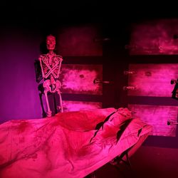 209 Haunts - They say the dead don't dream, but this place hums like a beehive at night