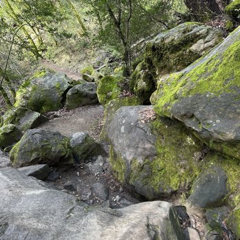 Castle Rock State Park - Parks Near Me - Los Gatos, California Castle Rock State Park - Parks Near Me - Los Gatos, California