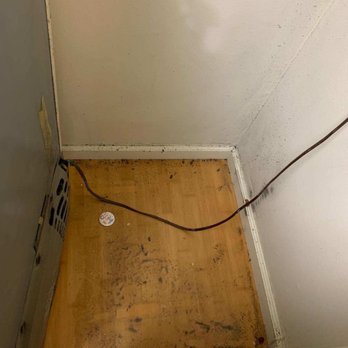 Andrea's Perfect Cleaning - Behind our fridge - Home Cleaning Near Me - Daly City, California