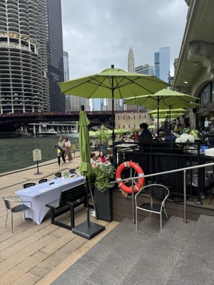 Tiny Tapp & Tiny Café by null