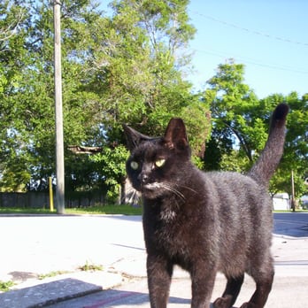 HUMANE SOCIETY OF MANATEE COUNTY - Updated January 2025 - 12 Reviews